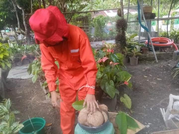 Jolits Ecogarden Hostel Batuan Exterior photo