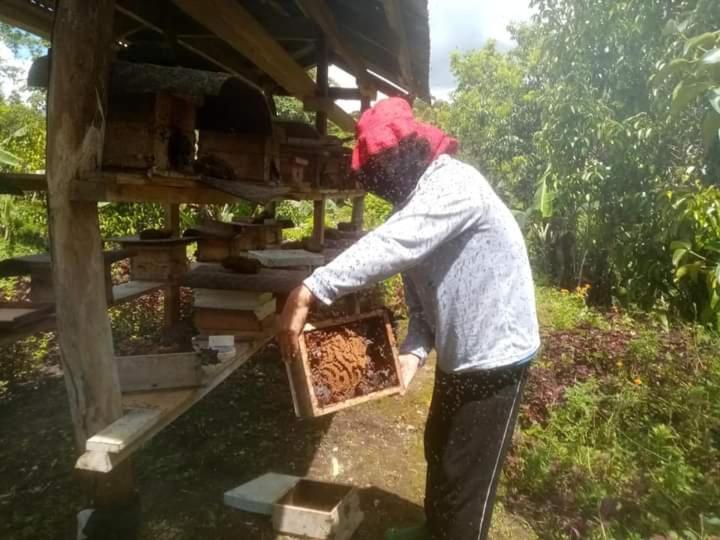 Jolits Ecogarden Hostel Batuan Exterior photo