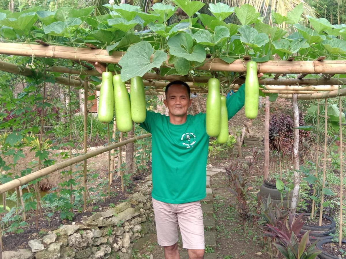 Jolits Ecogarden Hostel Batuan Exterior photo